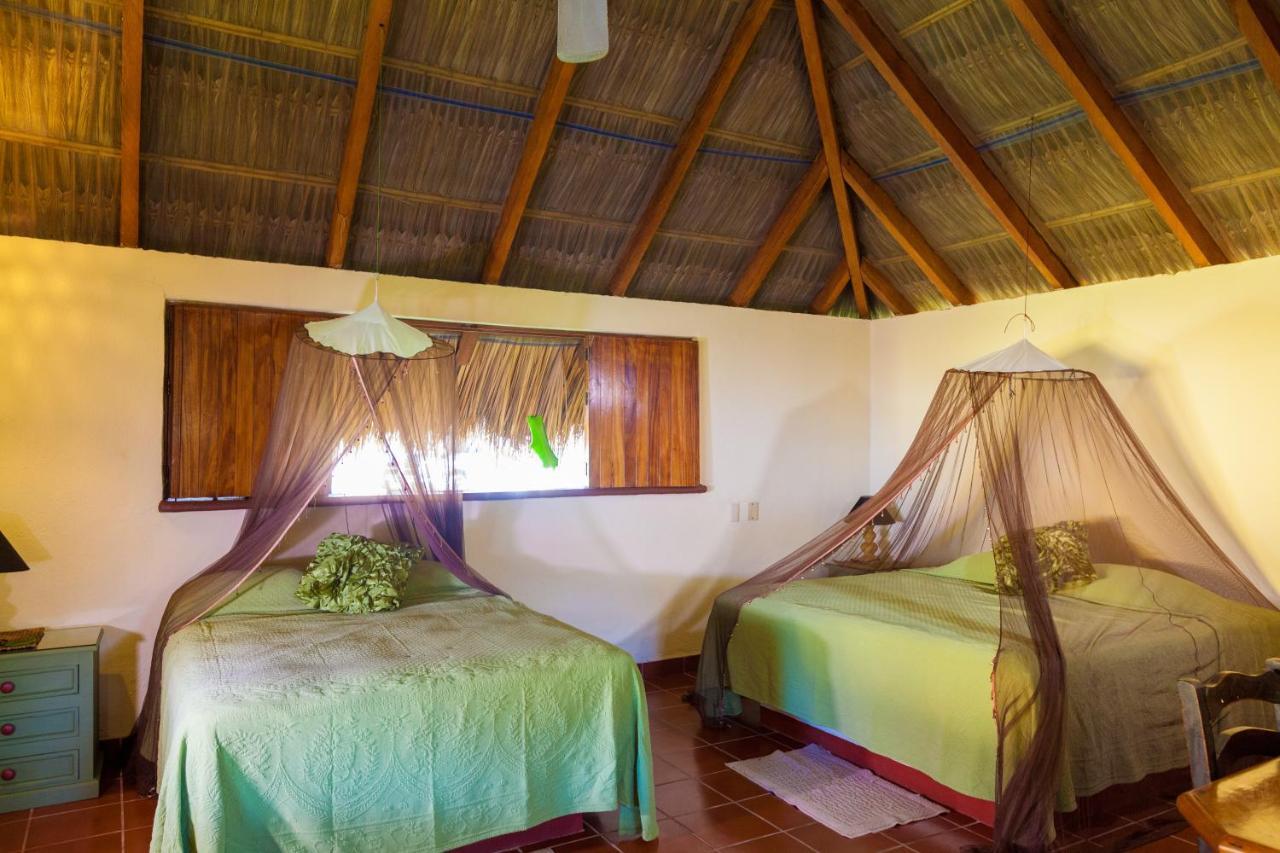 The Resort At Majahua Palms Troncones Exteriör bild